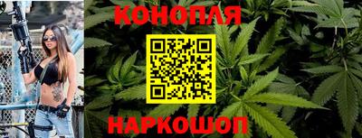молекула духа Заводоуковск