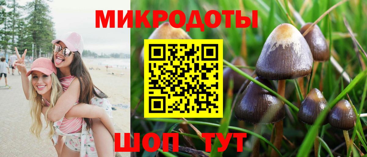 Псилоцибиновые грибы Cubensis  Галлюциногенные грибы GOLDEN TEACHER  Миасс  Вход с VPN 